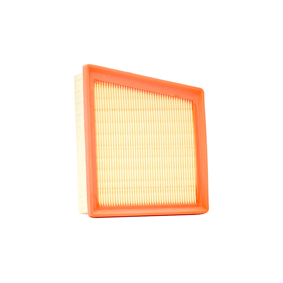 Champion U698/606 Air Filter