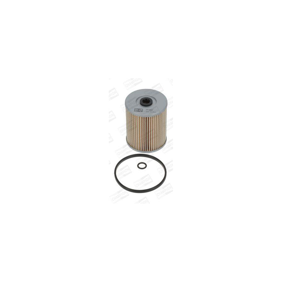 Champion CFF100480 Fuel Filter