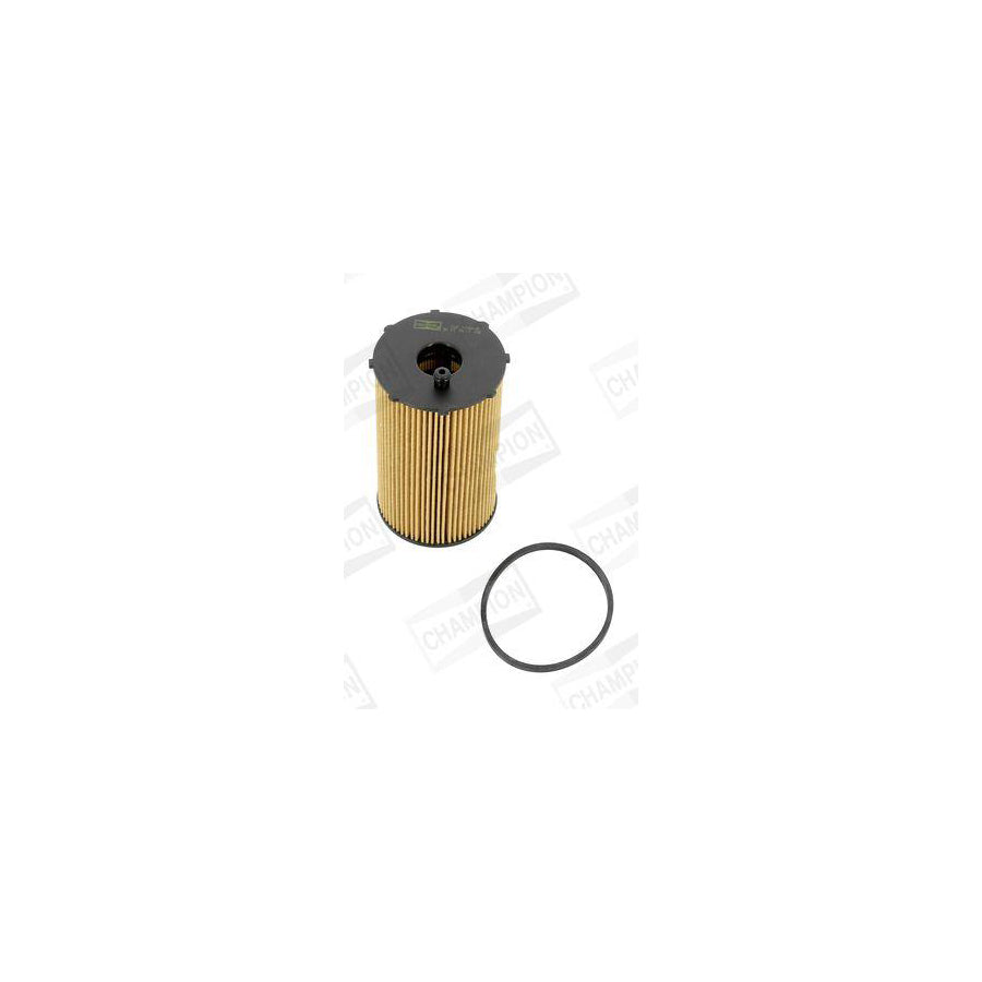 Champion COF100563E Oil Filter