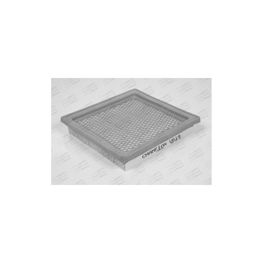 Champion U619/606 Air Filter