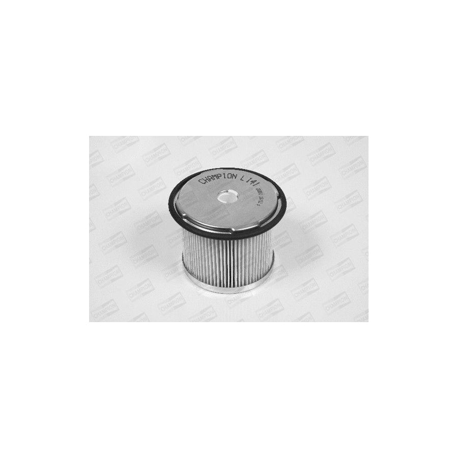 Champion L141/606 Fuel Filter