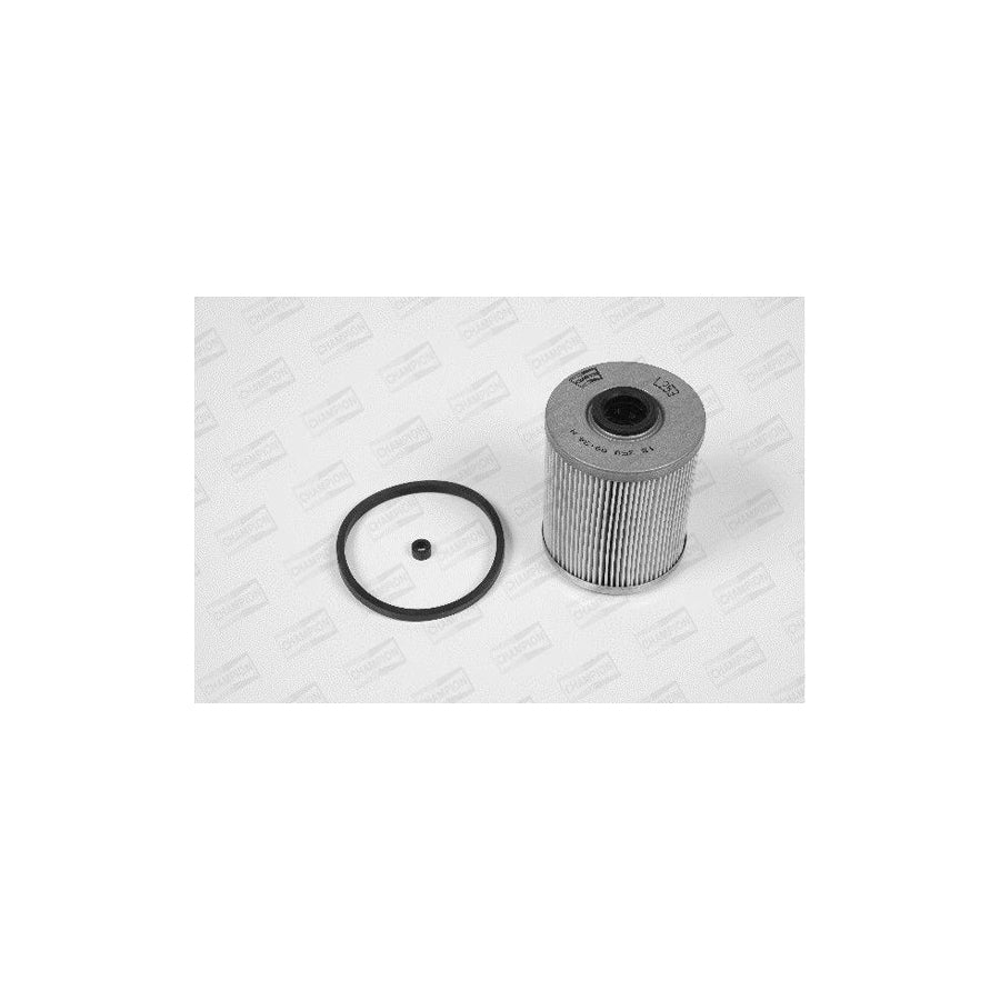 Champion L253/606 Fuel Filter