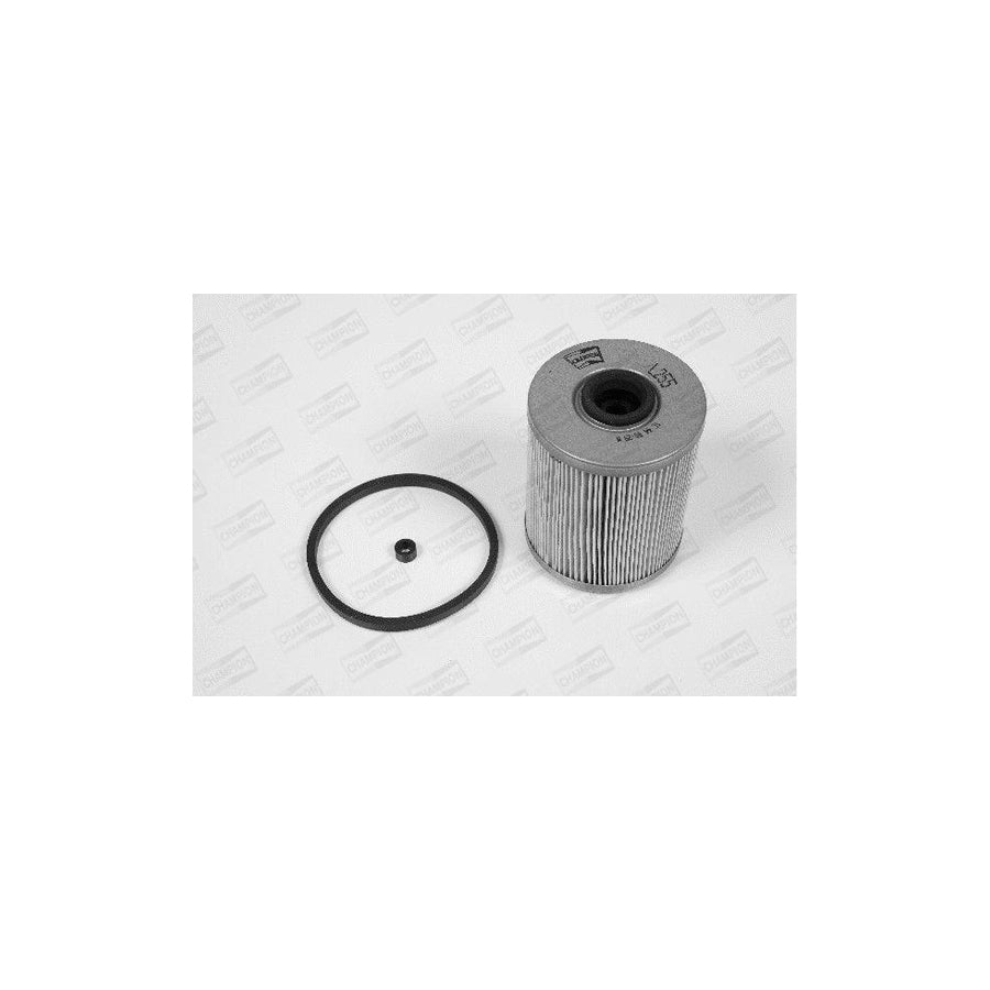 Champion L255/606 Fuel Filter