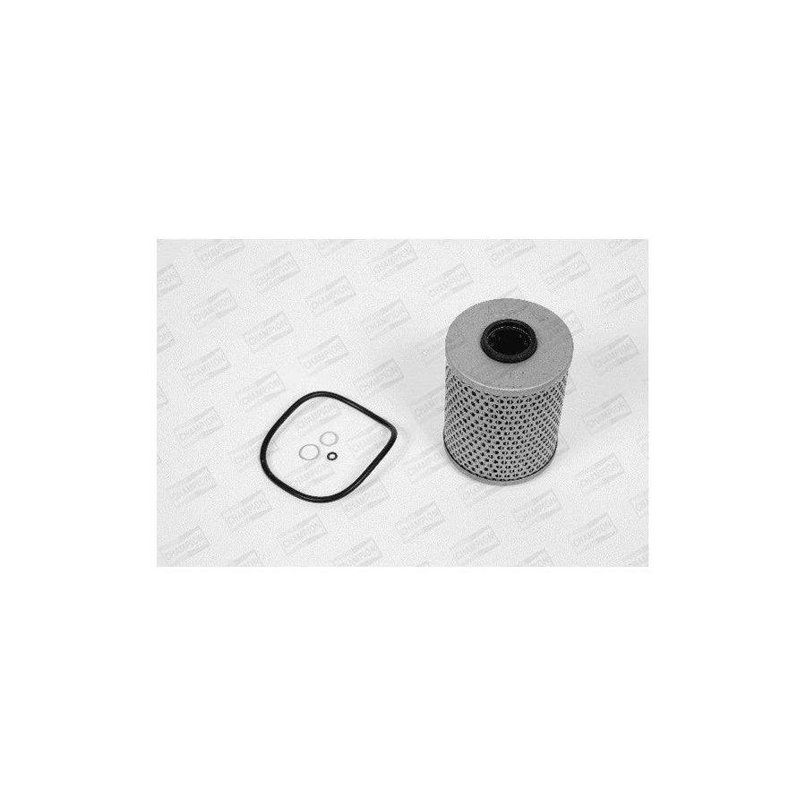 Champion X121/606 Oil Filter