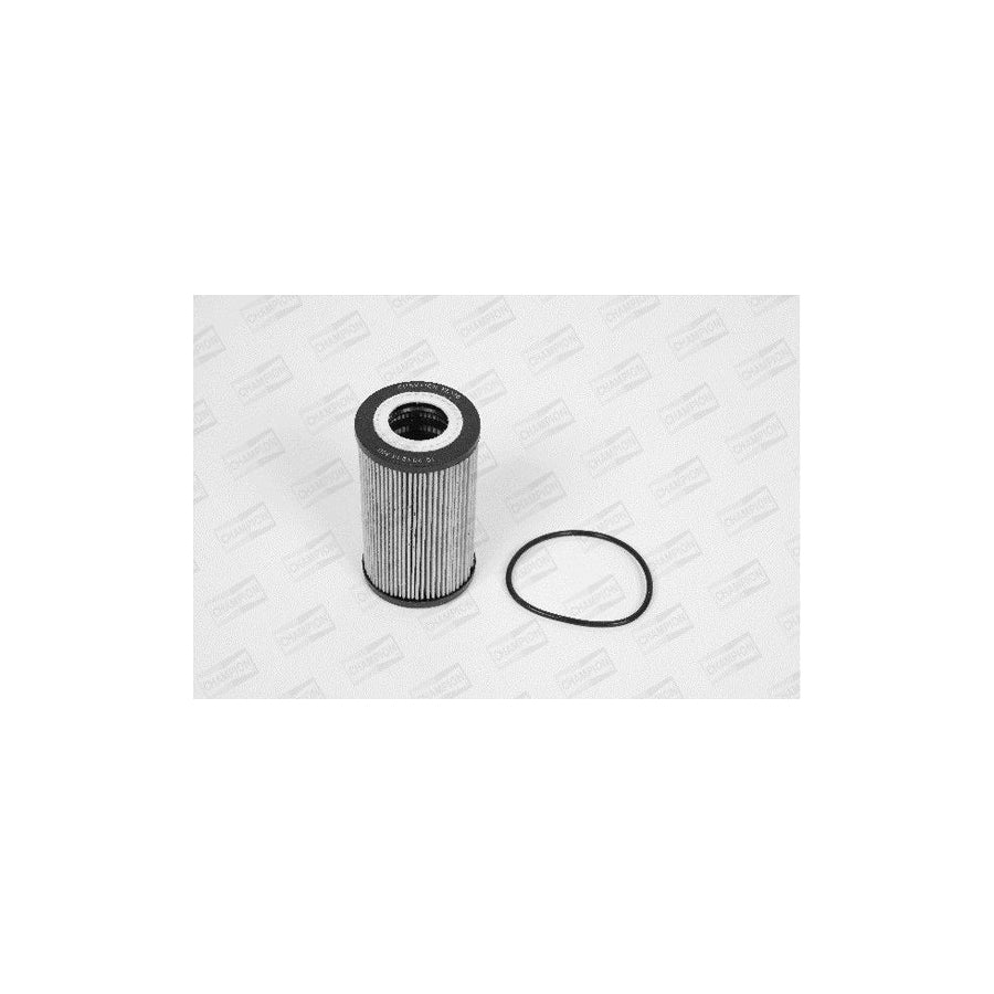 Champion Xe570/606 Oil Filter