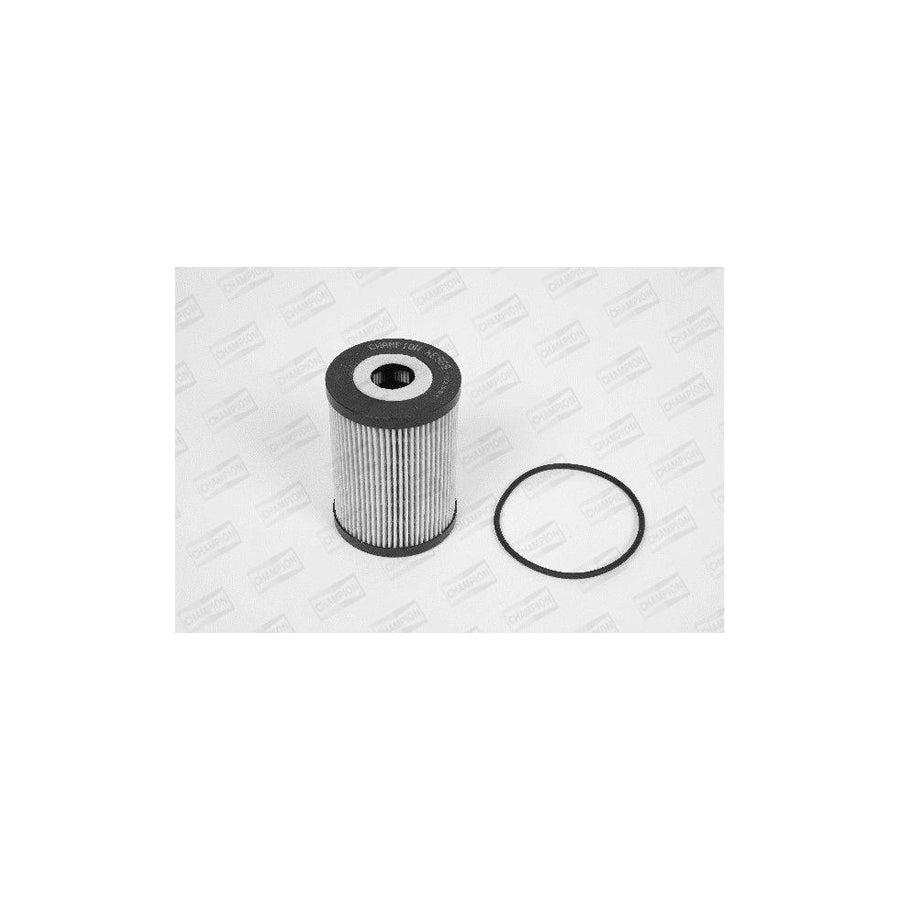 Champion Xe569/606 Oil Filter