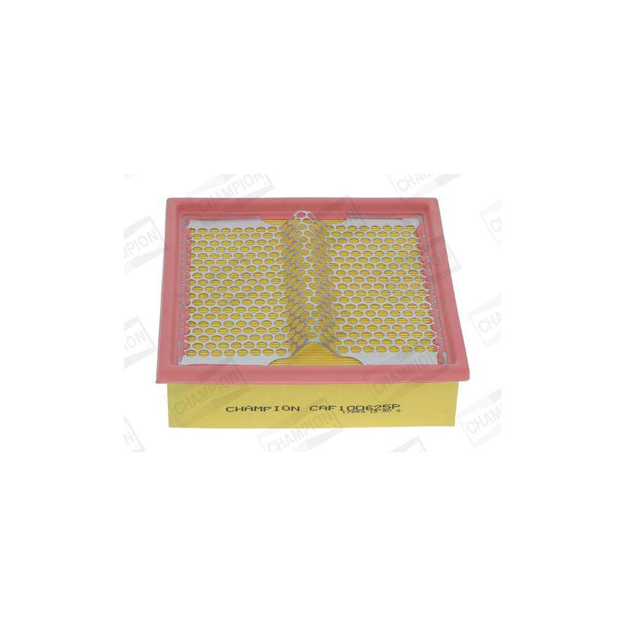 Champion CAF100625P Air Filter